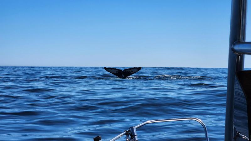 0 Bedroom Property for Sale in Da Gama Bay Western Cape